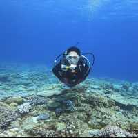 🤿 Diving into the Aquatic Wonderland of Okinawa 