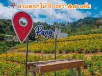  📍 สวนดอกไม้ ป้างฮวา&สวนส้ม  