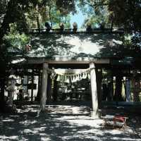 【埼玉】風鈴の音色が美しい🎐「川越氷川神社」
