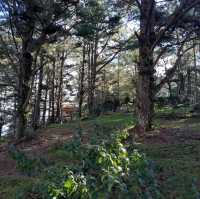 Lang Biang Mountain Hike