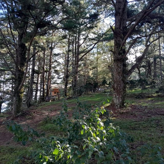 Lang Biang Mountain Hike