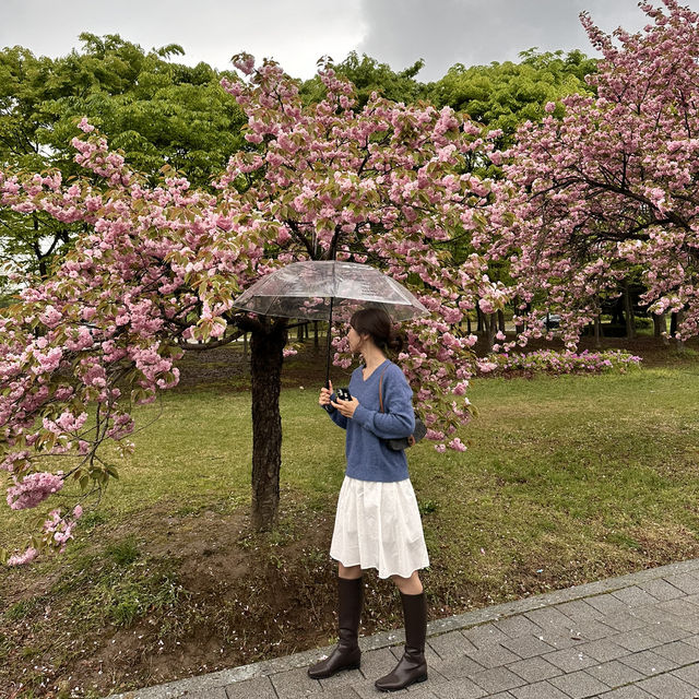 예쁜 꽃과 산책을 즐길수 있는 미사경정공원🌸