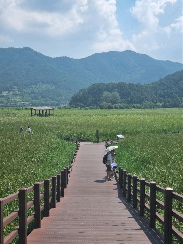 자전거여행으로 딱, 순천만습지