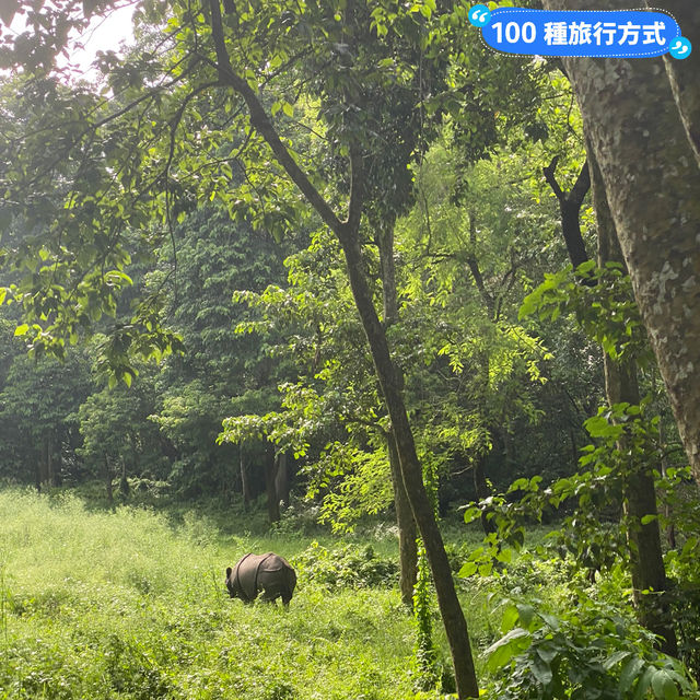 尼泊爾 奇旺國家公園 🏞️