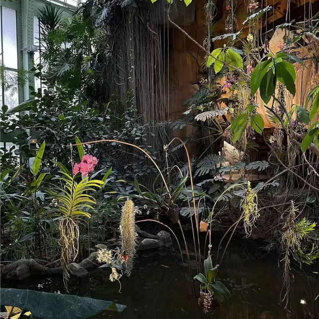 劍橋大學植物園🛟全面瞭解大自然的鬼斧神工