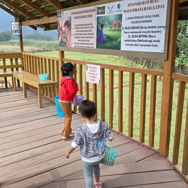 bandung trip highlight : ranca upas! (family friendly)