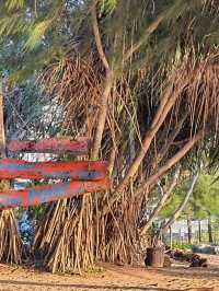 ชมเครื่องบินขึ้นที่ หาดไม้ขาว ภูเก็ต