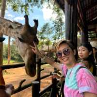 An Unforgettable Wildlife Adventure at VinPearl Safari Phu Quoc