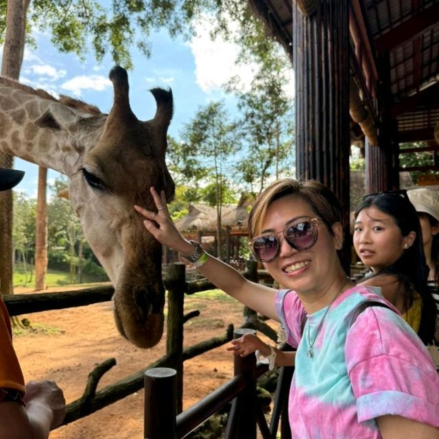 An Unforgettable Wildlife Adventure at VinPearl Safari Phu Quoc