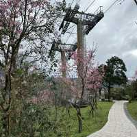 Zhinan Temple ตามหานักสัตว์ 12 ราศี