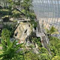Myriad Botanical Gardens