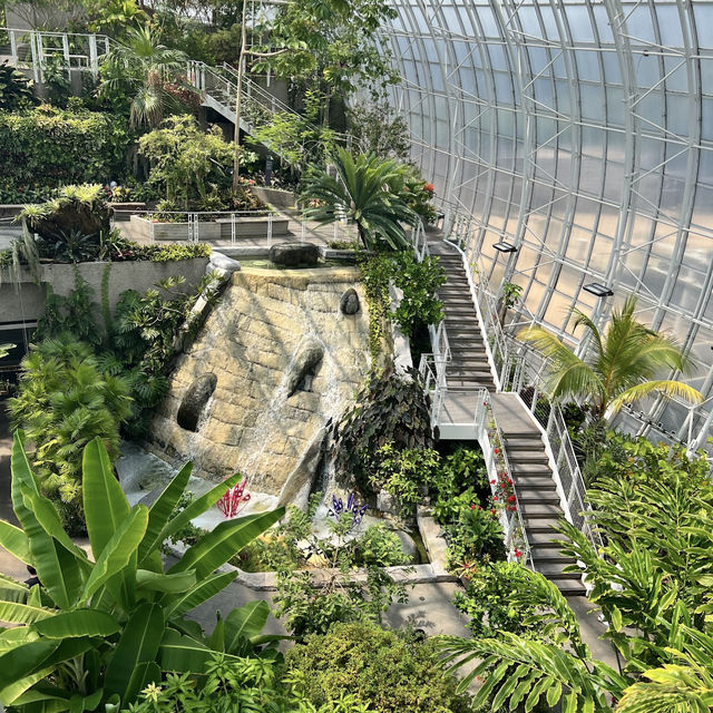 Myriad Botanical Gardens
