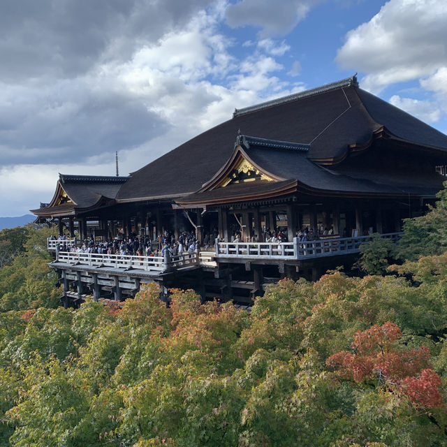 Picture perfect day in Kyoto's serenity