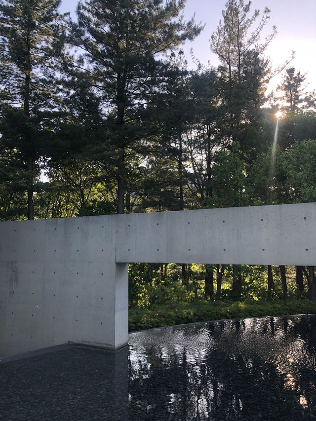 하늘, 나무, 예술🌳 완벽한 3박자 데이트코스 뮤지엄 산
