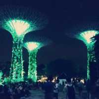 Gardens by the Bay ：白日綠意與夜晚燈光的完美結合
