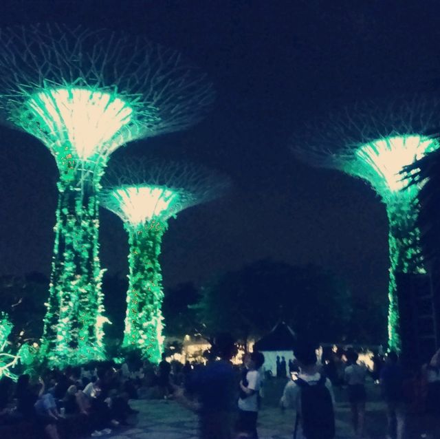 Gardens by the Bay ：白日綠意與夜晚燈光的完美結合