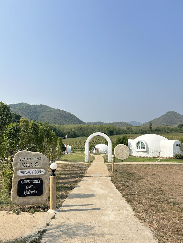 🌳Suanphueng IGLOO