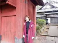 ⛩️วัดโกโตกุจิ โตเกียว วัดแมวกวัก Gotokuji Temple