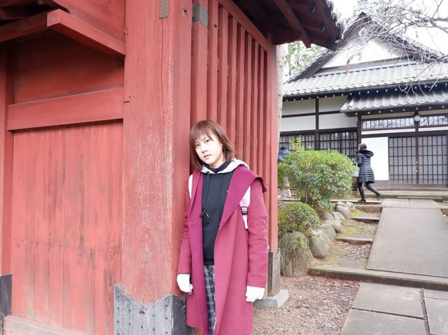 ⛩️วัดโกโตกุจิ โตเกียว วัดแมวกวัก Gotokuji Temple