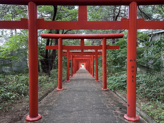 北海道神宮與伏見稻荷神社x綠色森林與紅色鳥居