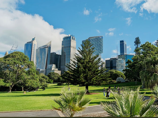 Royal Botanic Garden Sydney