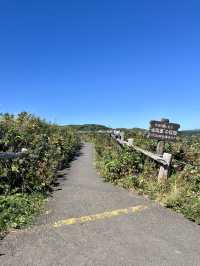 【礼文島】花の浮島桃岩展望台✨