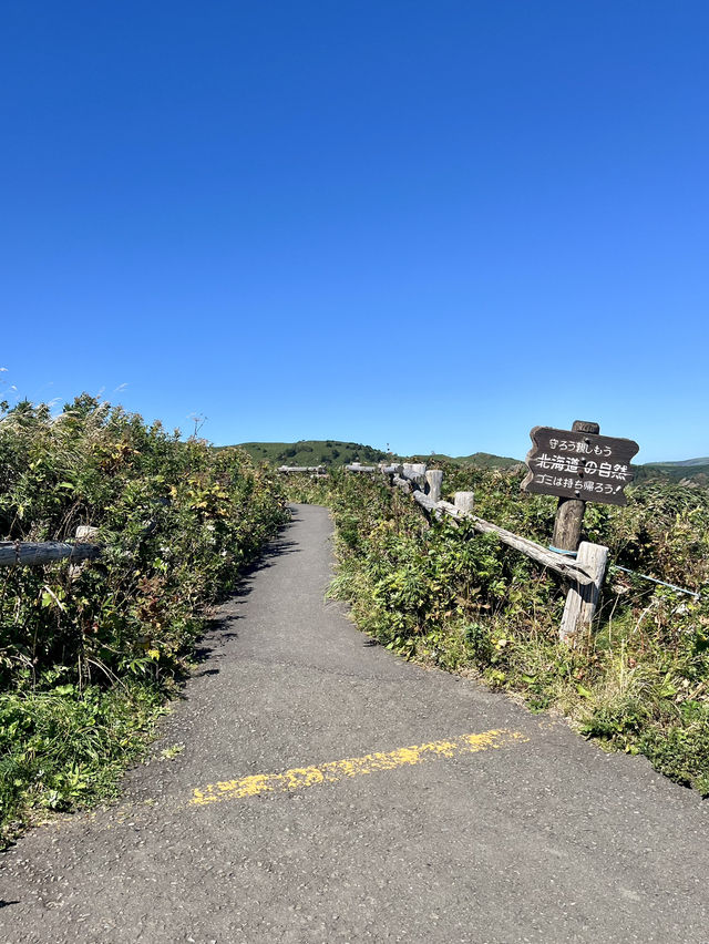 【礼文島】花の浮島桃岩展望台✨