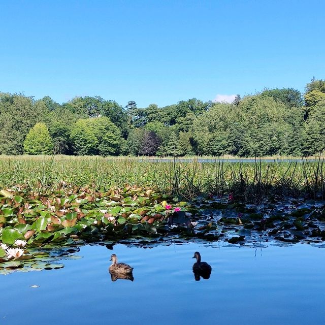 Lake Te Koo Utu, Cambridge, New Zealand