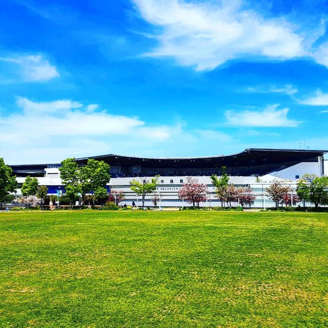 【京都】広大な芝生公園に泊まる 京都お薦めホテル 梅小路Potel