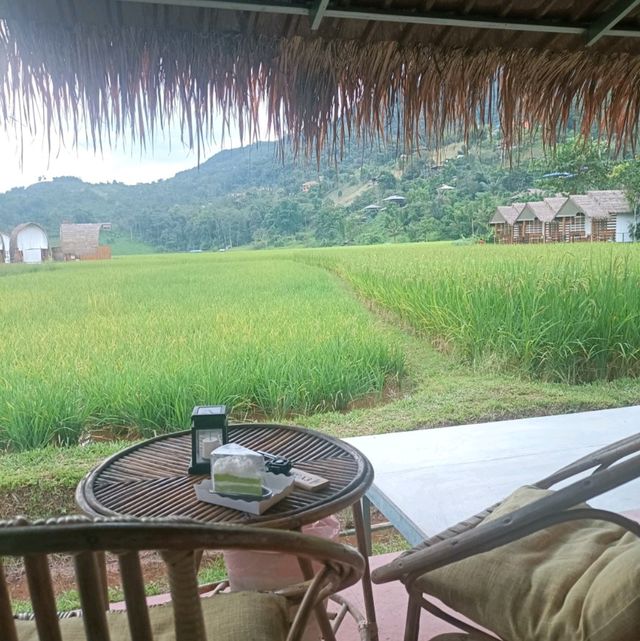 สะปันดีวิว ที่พักดีดีกลางทุ่งนา