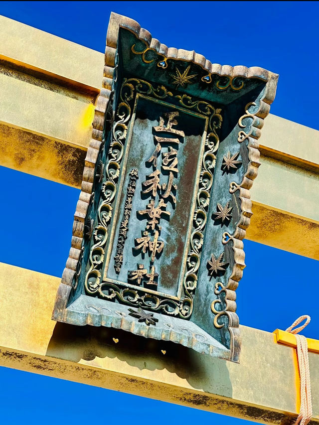 【一生に一度は行きたい】黄金に輝く鳥居と天空神社✨✨✨険しく狭い山道の攻略法も掲載