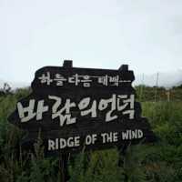 여름여행 태백의 매봉산 바람의 언덕