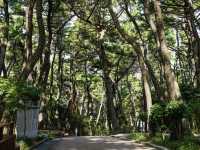 【韓国】釜山の大自然を散策🌱