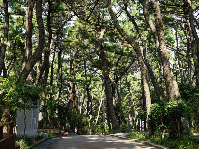 【韓国】釜山の大自然を散策🌱