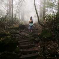 Hallasan the real story of a hike💚