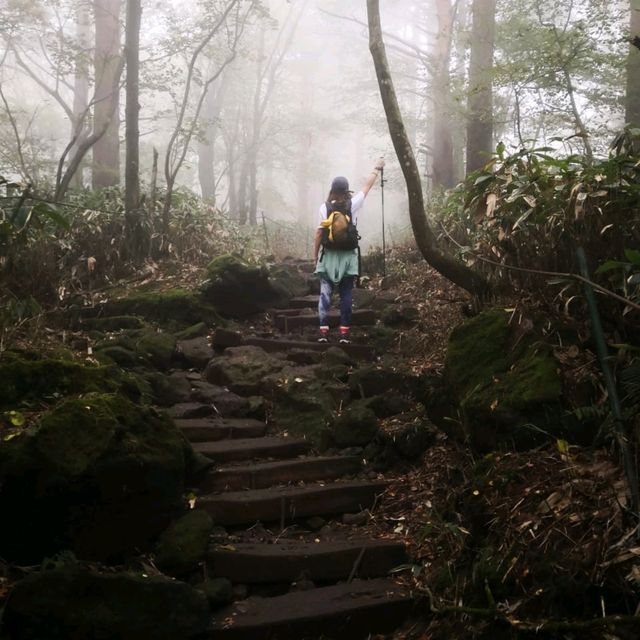 Hallasan the real story of a hike💚 Hallasan the real story of a hike💚