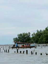 นั่งเรือปลูกป่าชายเลนที่คลองโคนกัน