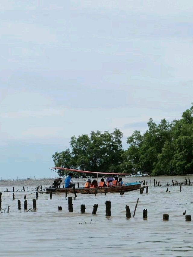 นั่งเรือปลูกป่าชายเลนที่คลองโคนกัน