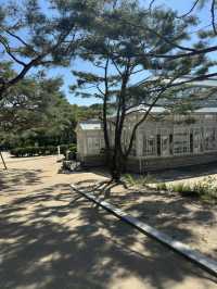 World Heritage Site Changdeokgung Palace and Secret garden (shhhh!)