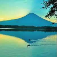 田貫湖