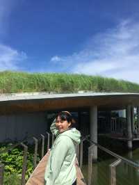 ฟาร์มดอกไม้เมืองหนาวที่ใหญ่ที่สุดในประเทศไทย!💝