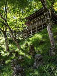 【京都観光】かわいい羅漢像がいっぱい！「愛宕念仏寺」⛩️🗿