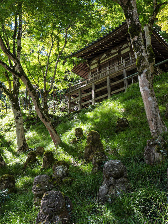 【京都観光】かわいい羅漢像がいっぱい！「愛宕念仏寺」⛩️🗿