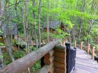 【ニングルテラス:北海道富良野市】緑が美しい森の中のログハウス♪