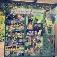 Caversham Wildlife Park in Perth is a must-visit for animal lovers 