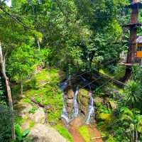 กิจกรรมสุดอลังการ เดอะจังเกิ้ล โป่งแยง (The Jungle