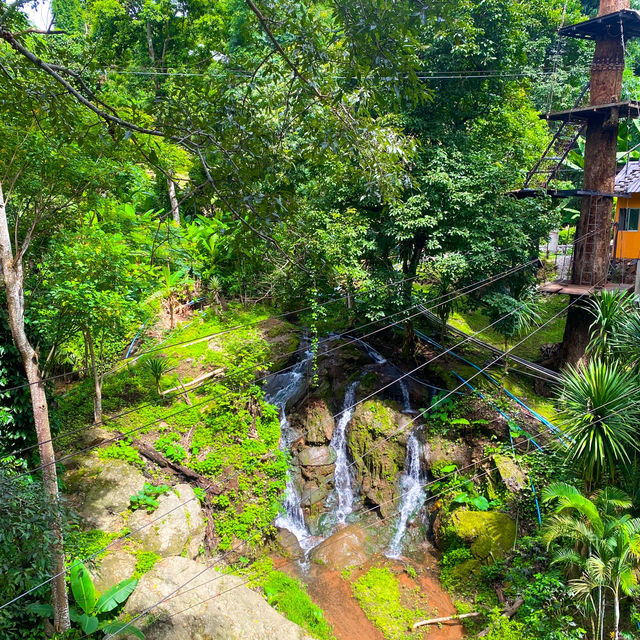 กิจกรรมสุดอลังการ เดอะจังเกิ้ล โป่งแยง (The Jungle