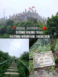 🇨🇳 Bitong Hiking Trail 碧桐道 📍 Wutong Mountain, Shenzhen 