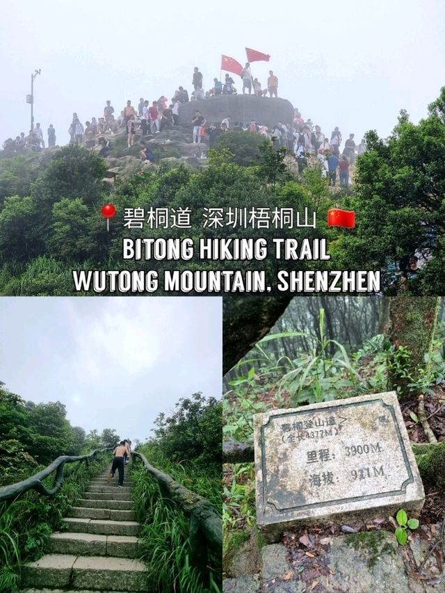 🇨🇳 Bitong Hiking Trail 碧桐道 📍 Wutong Mountain, Shenzhen 