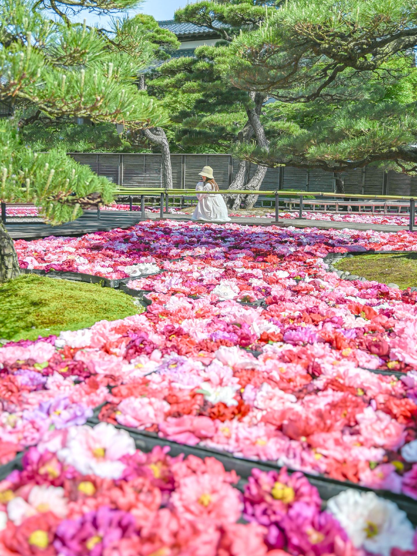 [Limited time offer] A breathtaking view unfolds before your eyes🌼 We recommend you indulge in two varieties🫶🏻🌸✨